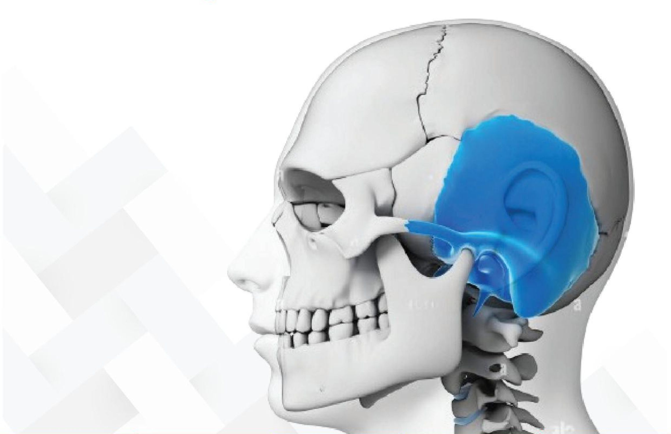 Temporal Bone Dissection